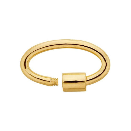 Charm Carabiner